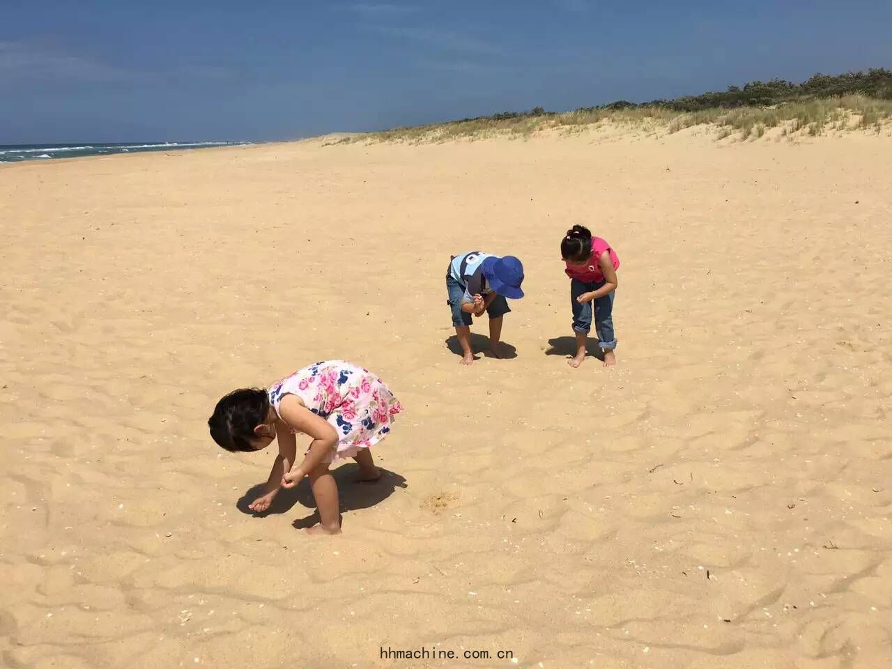 國際搬家