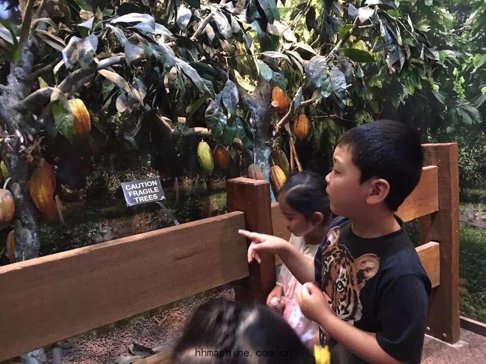 國際搬家