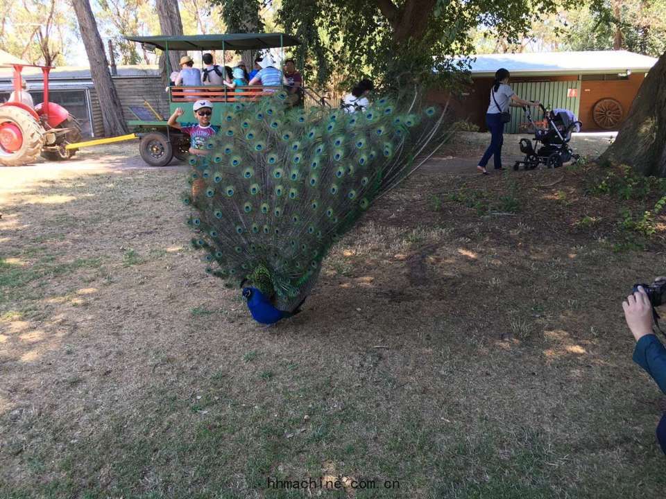 國際搬家