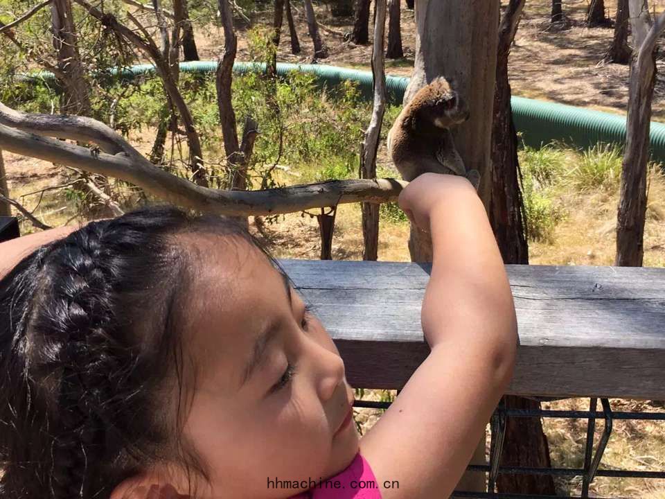 國際搬(bān)家
