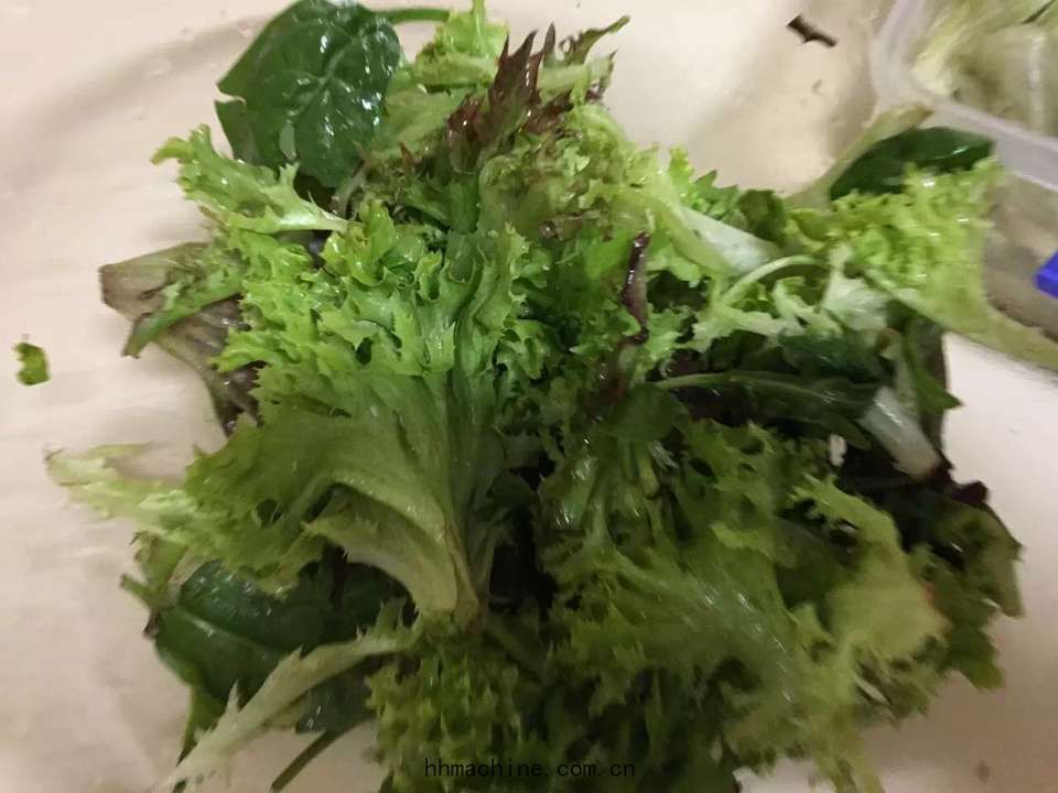 國際(jì)搬家