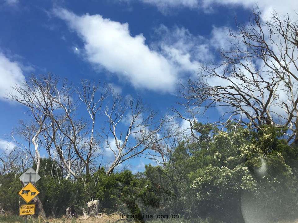 國際搬(bān)家