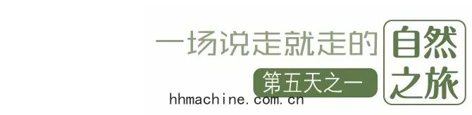 國際搬家