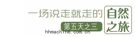 國際(jì)搬家(jiā)