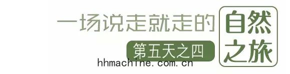 國(guó)際搬家