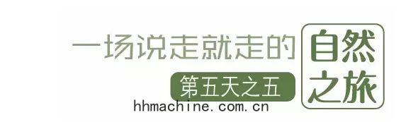 國(guó)際搬家