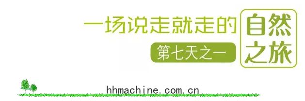 國(guó)際搬(bān)家(jiā)