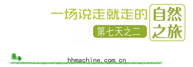 國(guó)際搬家(jiā)