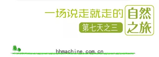 國際(jì)搬家