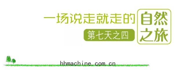 國際搬家