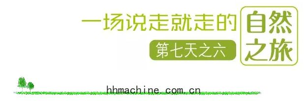 國際搬家