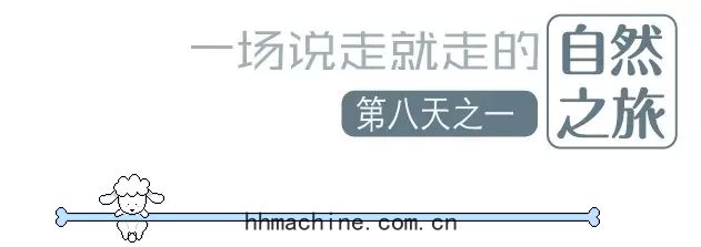 國際搬家(jiā)