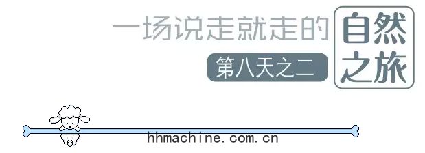 國(guó)際搬家(jiā)