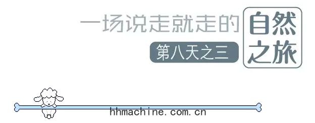國際(jì)搬家(jiā)