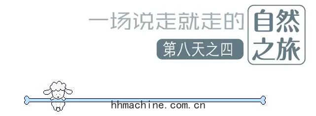 國(guó)際(jì)搬(bān)家