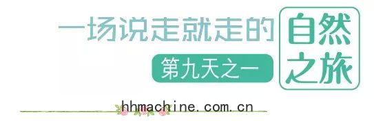 國(guó)際(jì)搬家