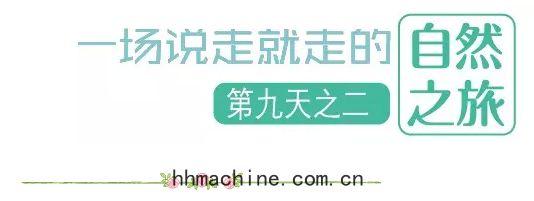 國際(jì)搬家(jiā)