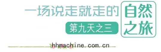 國際(jì)搬家