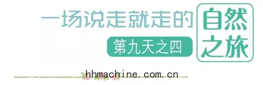 國際搬家
