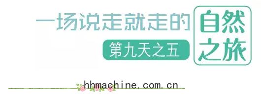 國(guó)際(jì)搬家