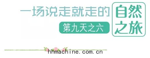 國(guó)際搬(bān)家