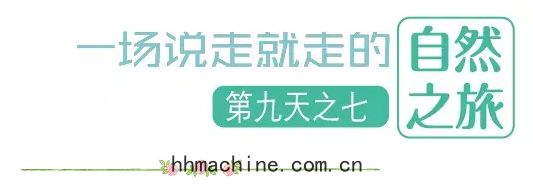國際搬(bān)家(jiā)
