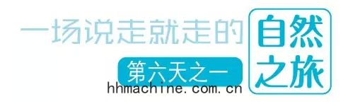 國際搬家
