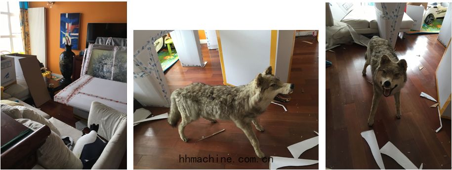國際(jì)搬家